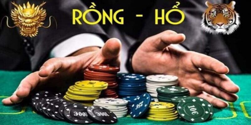 rồng hổ kubet