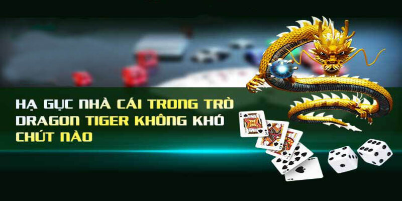 rồng hổ kubet